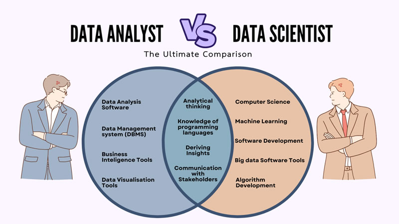 Data Scientist