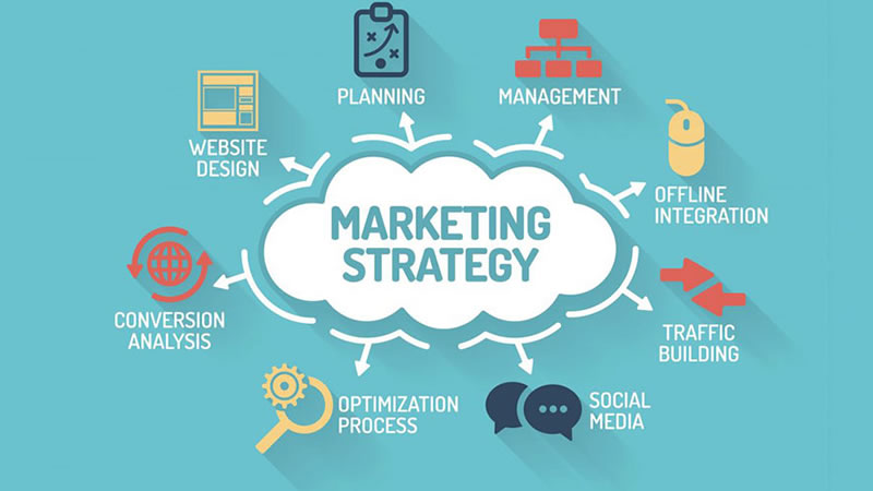 Startup Marketing Strategy