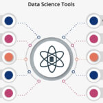Data Scientist