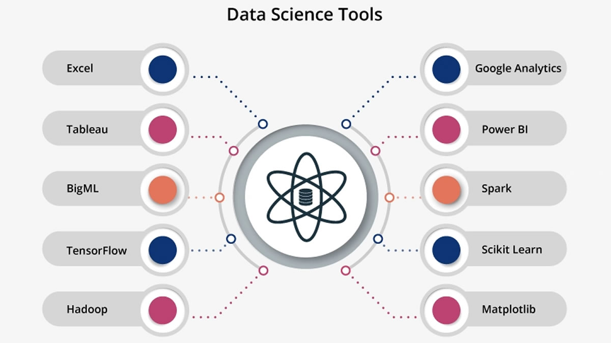 Data Scientist